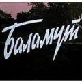 баламут