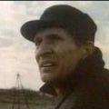 данилин