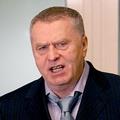 жириновский