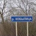 кобылица
