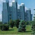 отрадное