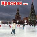 площадь