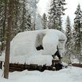 заимка